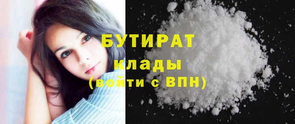 индика Кинешма