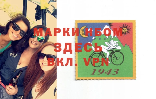 прущие грибы Балахна