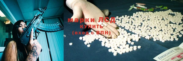 прущие грибы Балахна