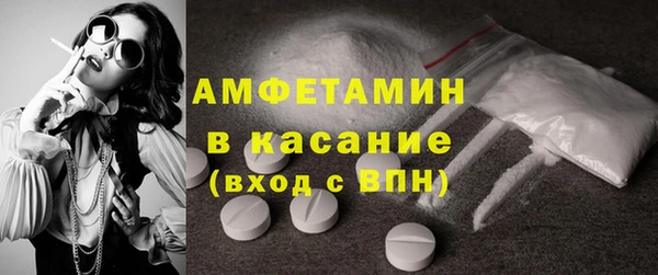 прущие грибы Балахна