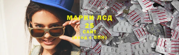 прущие грибы Балахна