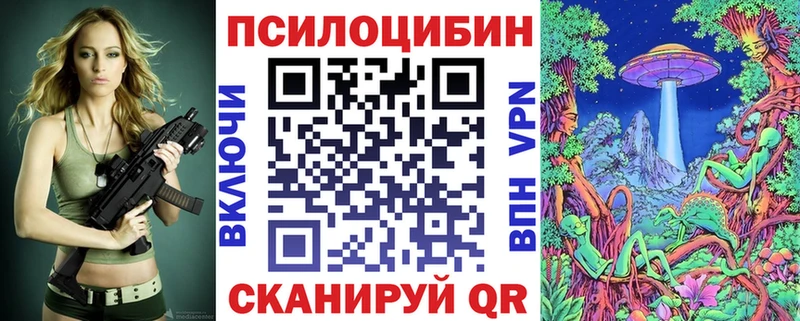 Галлюциногенные грибы Psilocybine cubensis  Гуково 